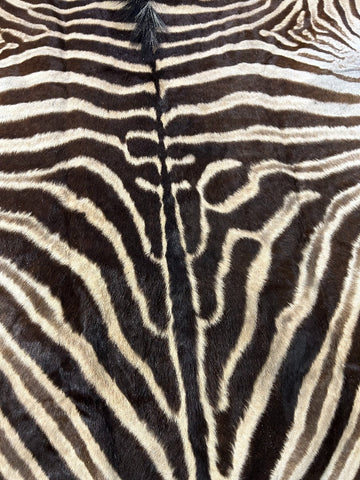 Nice quality! Felted Zebra Skin (27" tail) Size: 7x6 feet # 121