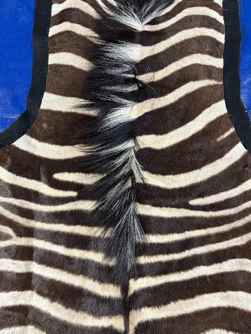 Nice quality! Felted Zebra Skin (27" tail) Size: 7x6 feet # 121