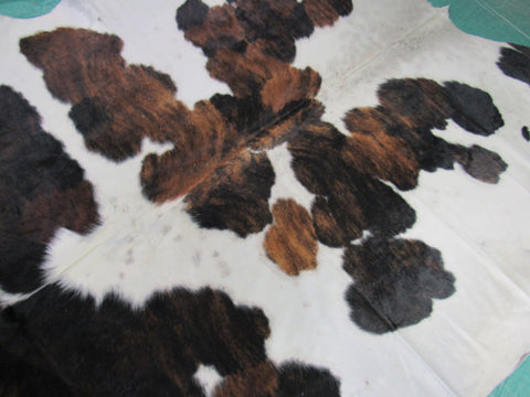 Gorgeous Tricolor Cowhide Rug Size: 8x7 feet M-1337