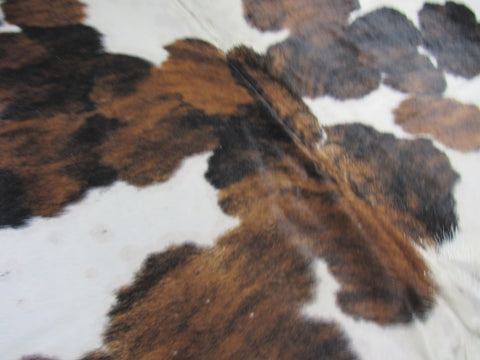 Gorgeous Tricolor Cowhide Rug Size: 8x7 feet M-1337