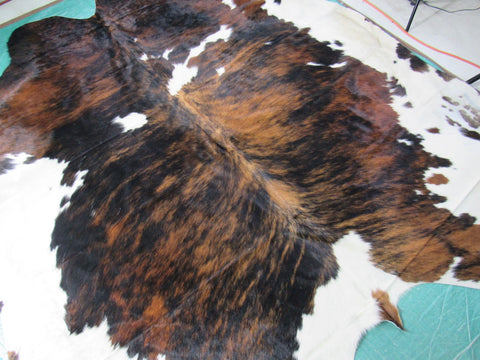 Gorgeous Huge Tricolor Cowhide Rug Size: 8x7 feet M-1339