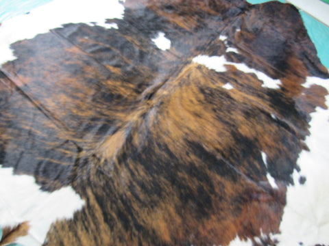 Gorgeous Huge Tricolor Cowhide Rug Size: 8x7 feet M-1339