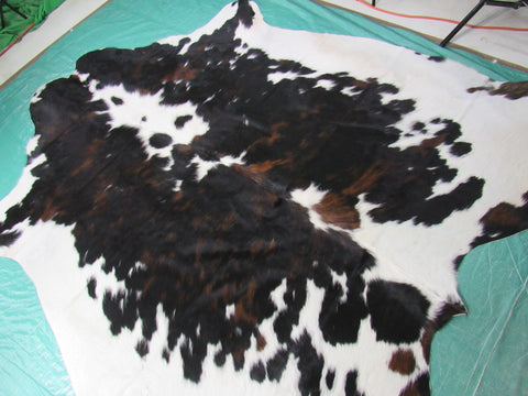 Gorgeous Tricolor Cowhide Rug Size: 7x7 feet M-1345