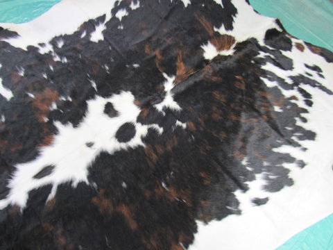 Gorgeous Tricolor Cowhide Rug Size: 7x7 feet M-1345