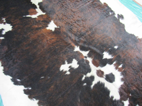 Huge Tricolor Cowhide Rug Size: 7.2x7.5 feet M-1347