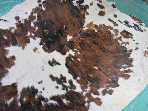 Speckled Tricolor Cowhide Rug - Size: 7x7 feet M-1353