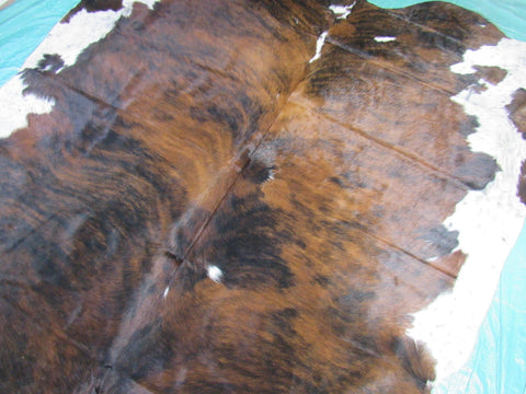 Tricolor Cowhide Rug Size: 7.2x7 feet M-1388