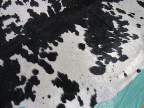 Big Mainly Black & White Cowhide Rug (HUGE AND HEAVY) Size: 8.5x7 feet M-1389