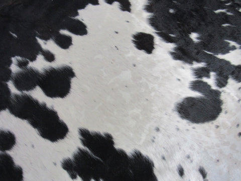 Big Mainly Black & White Cowhide Rug (HUGE AND HEAVY) Size: 8.5x7 feet M-1389