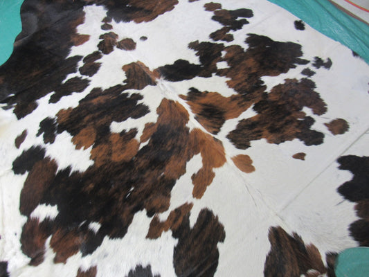 Tricolor Cowhide Rug Size: 7x7 feet M-1390
