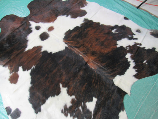Tricolor Cowhide Rug Size: 6.2x6 feet M-1393