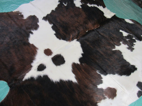 Tricolor Cowhide Rug Size: 6.2x6 feet M-1393