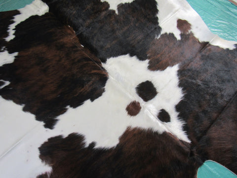 Tricolor Cowhide Rug Size: 6.2x6 feet M-1393