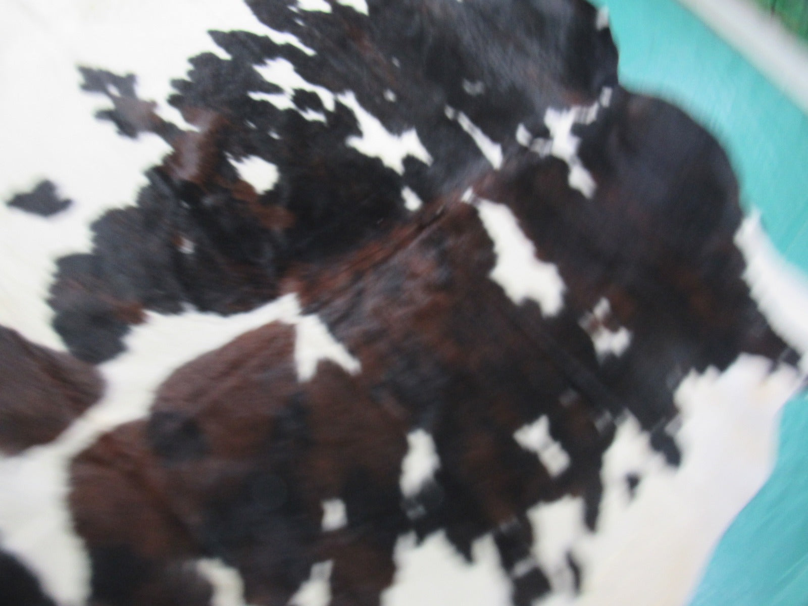 Tricolor Cowhide Rug (mainly dark tones) Size: 6.7x6.7 feet M-1394