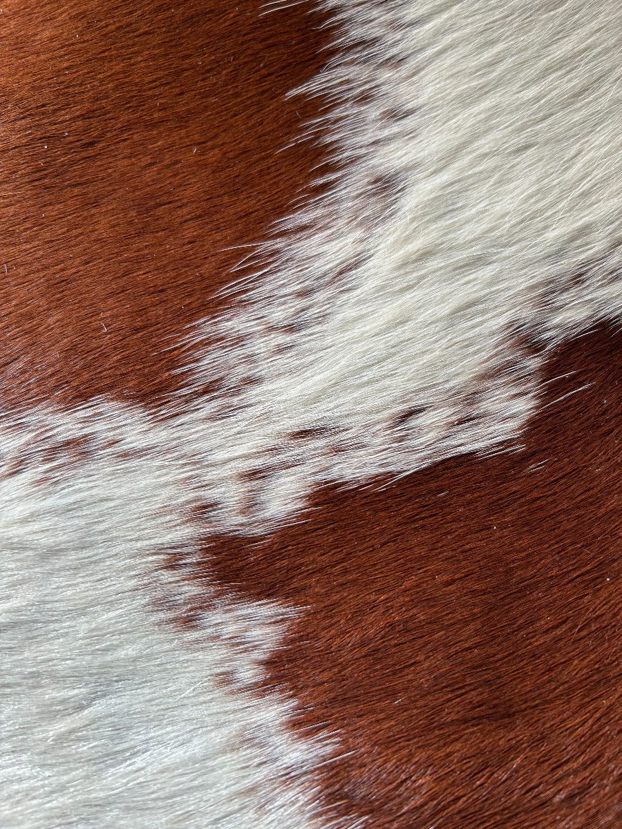 Brown and White Cowhide Rug, Brown and White Cowhide -Brazilian Cowhide Rug - Average Size 7x7 feet