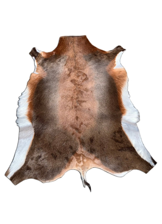 African Blesbok Antelope Skin Deer skin buck skin, African Antelope Buck Skin