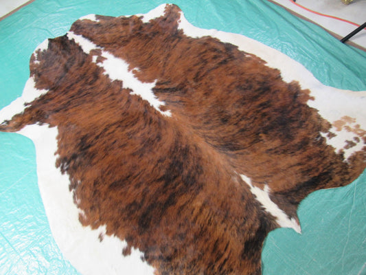 Tricolor Cowhide Rug Size: 6x5 feet M-1421