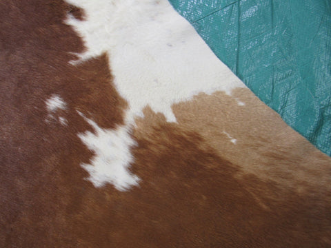 Hereford Cowhide Rug (veggie tanned/ made in Brazil) Size: 6.5x6 feet C-1420