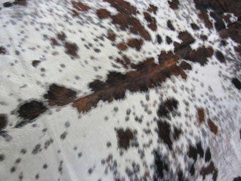 Salt & Pepper Tricolor Cowhide Rug Size: 7x6 feet B-194