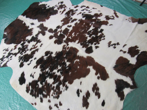 Beautiful Tricolor Cowhide Rug Size: 6x5 3/4 feet B-195