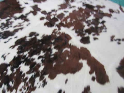 Beautiful Tricolor Cowhide Rug Size: 6x5 3/4 feet B-195