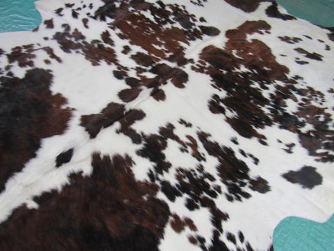 Beautiful Tricolor Cowhide Rug Size: 6x5 3/4 feet B-195