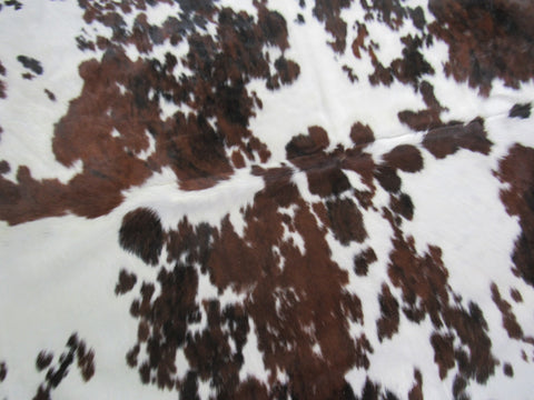 Beautiful Tricolor Cowhide Rug Size: 6x5 3/4 feet B-195