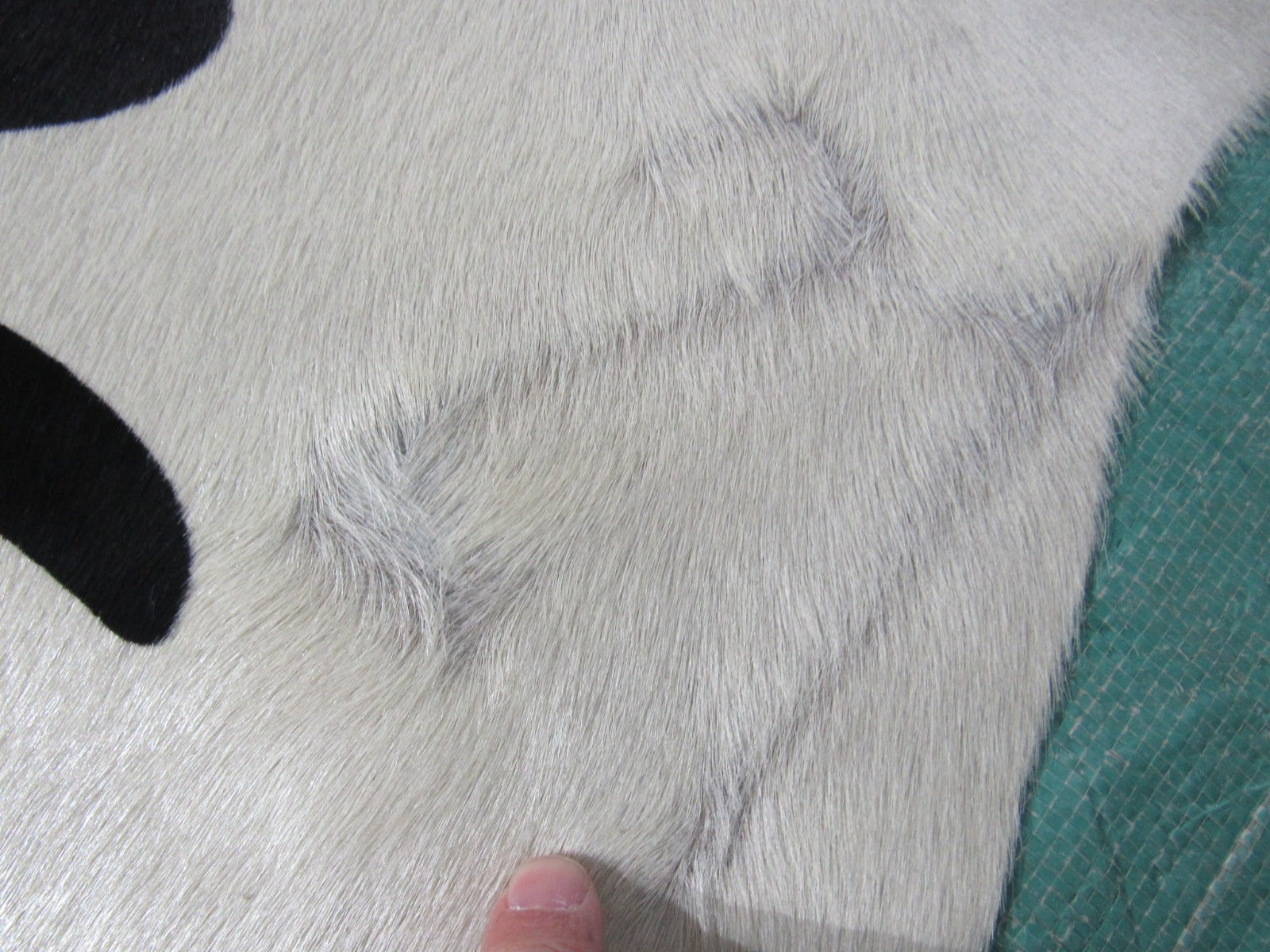 Gorgeous Zebra Print Cowhide Rug (Hair is super nice!/ fire brand) Size: 6.2x6 feet M-1431