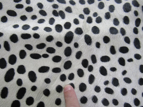 Gorgeous Cheetah Print Cowhide Rug (white background) Size: 7x5.2 feet M-1433