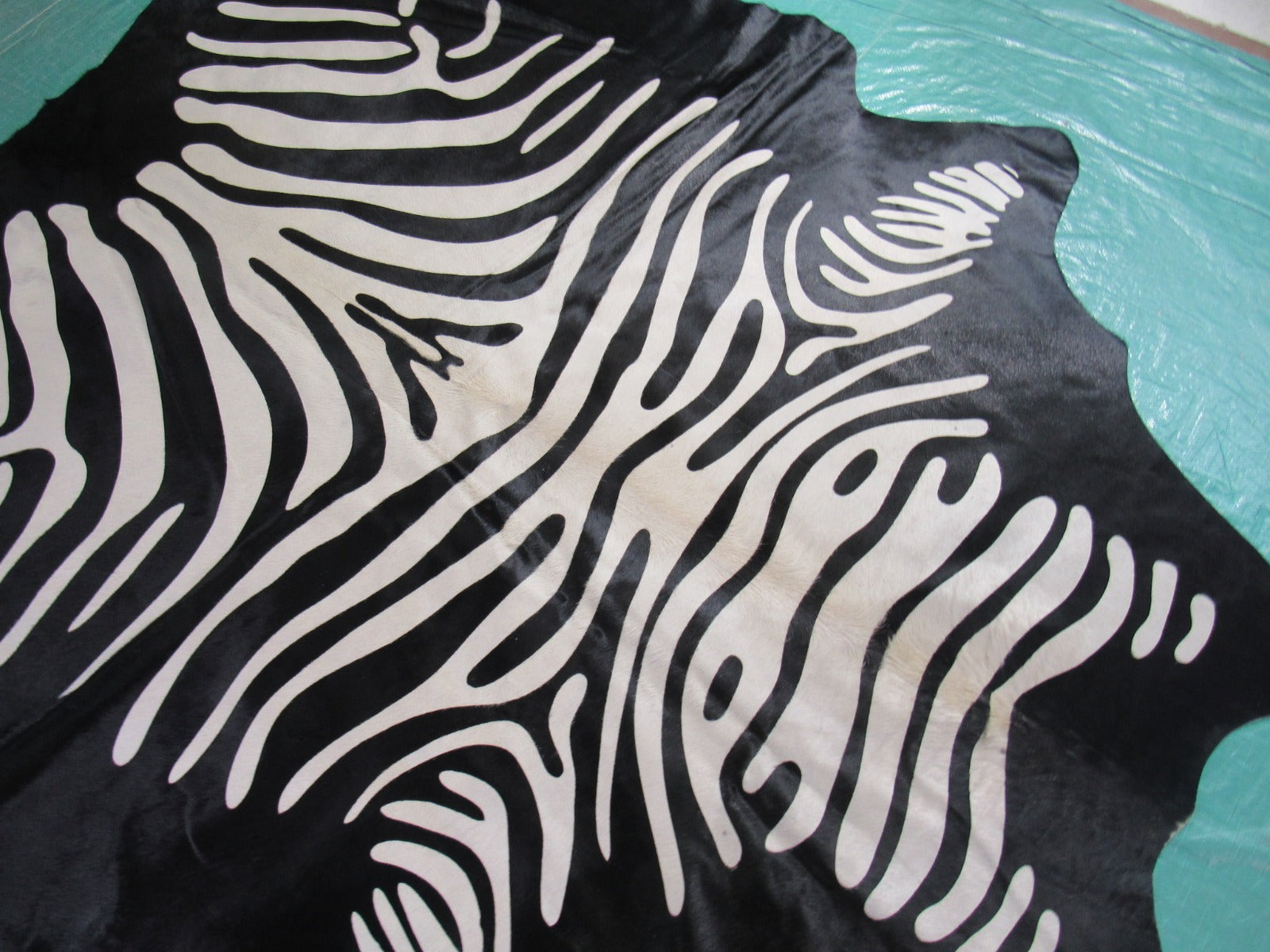 Reverse Zebra Cowhide Rug Size: 6.5x5.5 feet M-1436