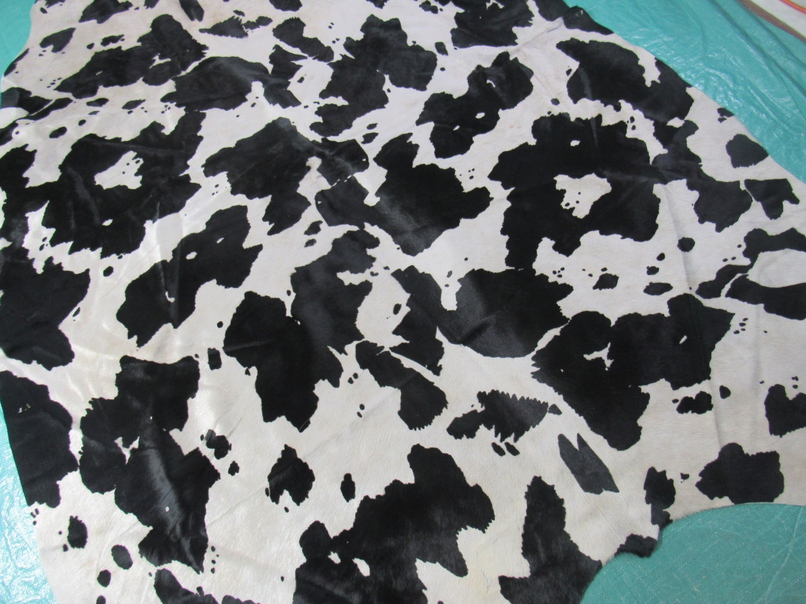Appaloosa Black & White Printed Cowhide Rug - Size: 7.2x5.5 feet M-1437