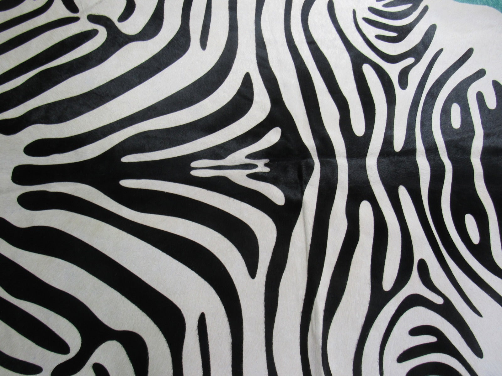 Small Zebra Cowhide Rug (one small patch/ light background & nice hair) Size: 6x5.2 feet M-1439