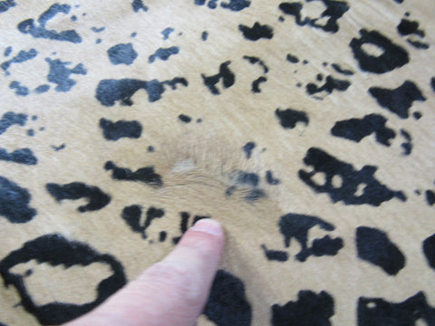 Distressed Leopard Printed Cowhide Rug Size: 7x5.5 feet M-1440