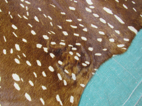 Axis Deer Cowhide Rug Size: 7.2x5.7 feet C-1683