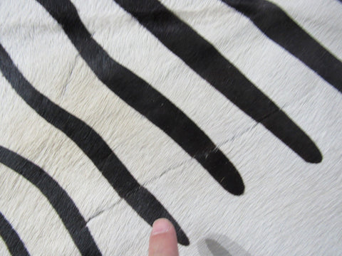 African Zebra Print Cowhide Rug (some natural scratches) Size: 7x6 feet A-1882