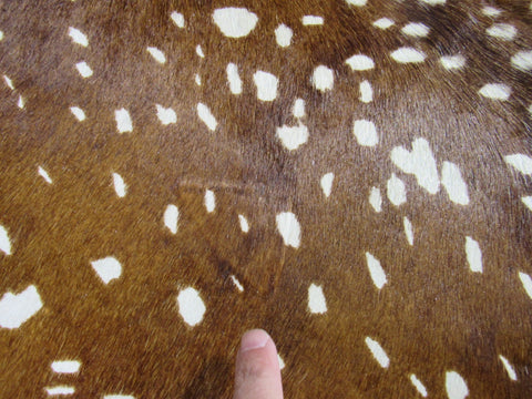 Axis Deer Print Cowhide Rug (some color variation + 1 patch) Size: 6 3/4x6 feet C-1431