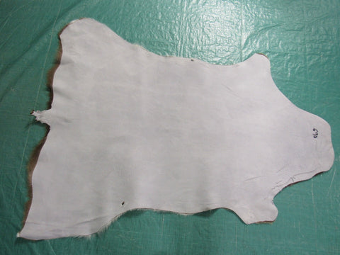 Gorgeous Axis Deer Skin (2 small holes at edge of belly/ has tiny tail) Size: 49x39" Axis-690