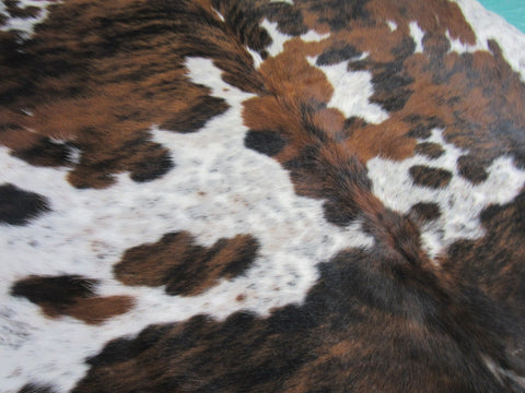 Tricolor Cowhide Rug Size: 6 1/2x6 3/5 feet B-196