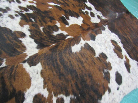 Tricolor Cowhide Rug Size: 6 1/2x6 3/5 feet B-196