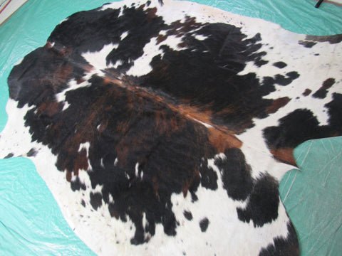 Tricolor Cowhide Rug Size: 6 3/4x6 feet B-198