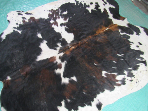 Tricolor Cowhide Rug Size: 6 3/4x6 feet B-198