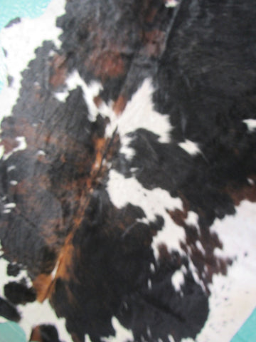 Tricolor Cowhide Rug Size: 6 3/4x6 feet B-198