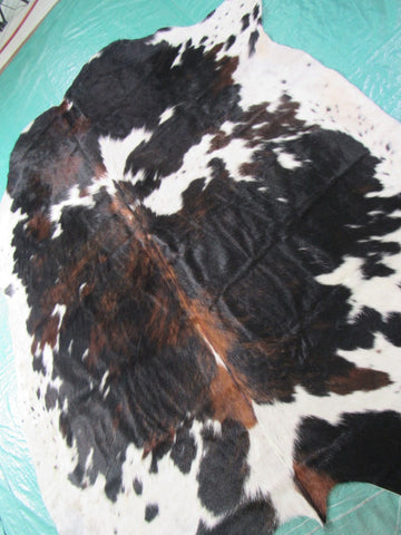 Tricolor Cowhide Rug Size: 6 3/4x6 feet B-198