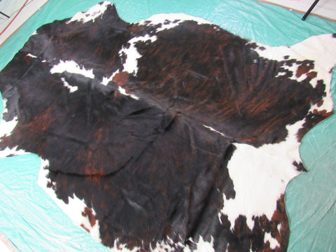 Tricolor Cowhide Rug Size: 7 1/4x6 1/4 feet B-199