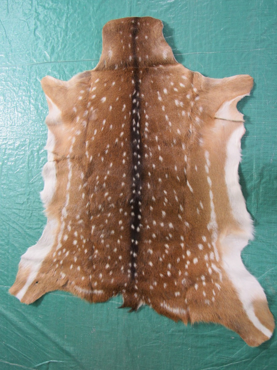 Axis Deer Skin (several tiny holes) Size: 42x39 inches Axis-627