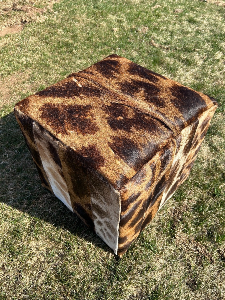 Giraffe Hide Ottoman Genuine Giraffe Hide Cube Furniture Size: 20X20X20”