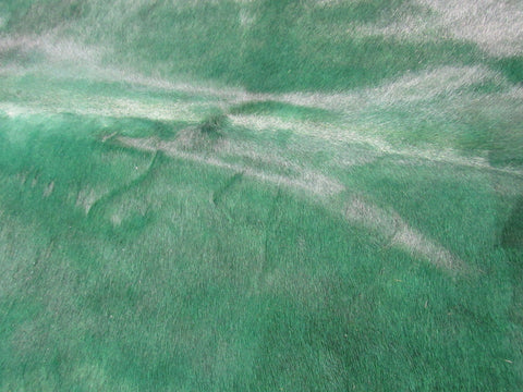 Dyed Emerald Green Cowhide Rug (hard to see fire brands - numbers/ patch) Size: 7 1/2x7 1/4 feet C-1437