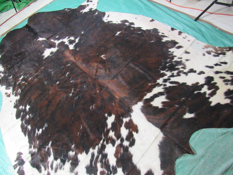 Big Tricolor Cowhide Rug Size: 8.2x7 feet M-1451