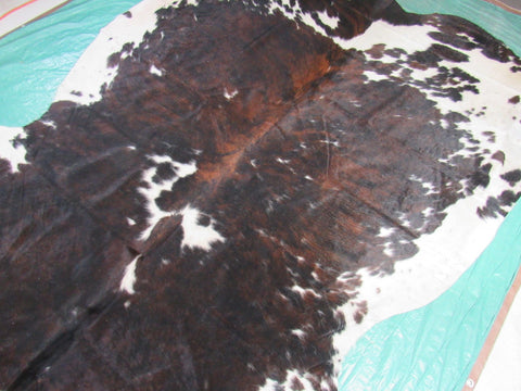 Big Tricolor Cowhide Rug Size: 8.2x7 feet M-1451