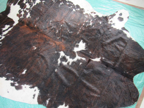 Big Tricolor Cowhide Rug Size: 8.2x7 feet M-1451